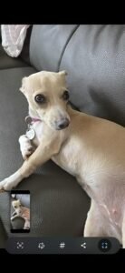 Coco