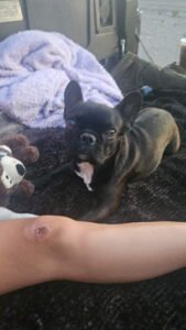 Lola