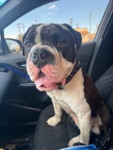 Tyson